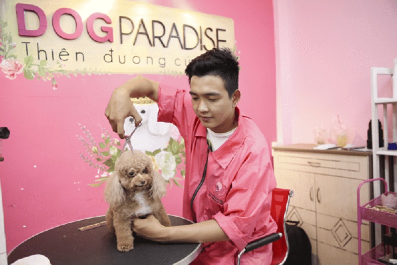 DogParadise – Dịch vụ chăm sóc thú cưng uy tín tại TPHCM