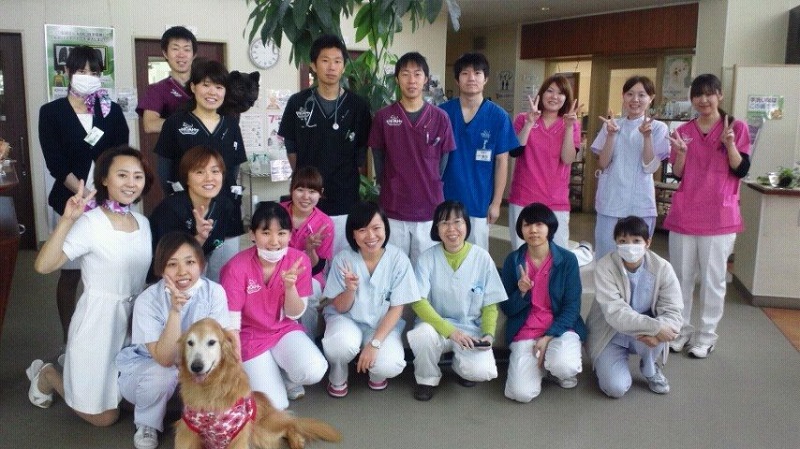Sasaki – Dịch vụ spa cho thú cưng tại TPHCM chất lượng