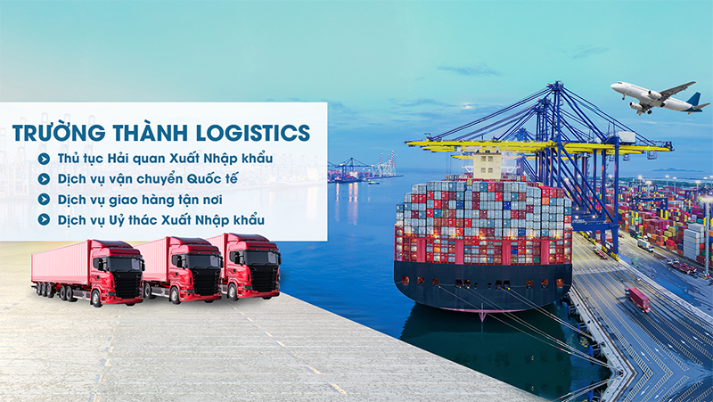 Trường Thành Logistics - Dịch vụ chuyển phát nhanh quốc tế uy tín