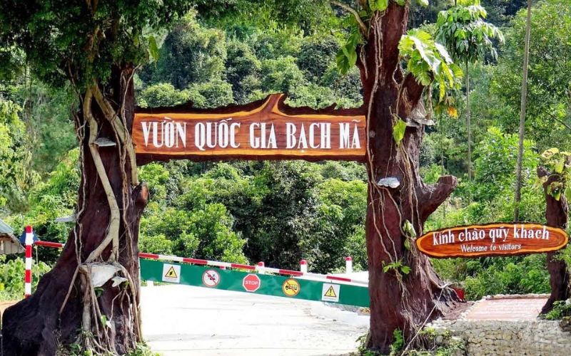 Vườn quốc gia Bạch Mã - Danh lam thắng cảnh tuyệt đẹp của Huế