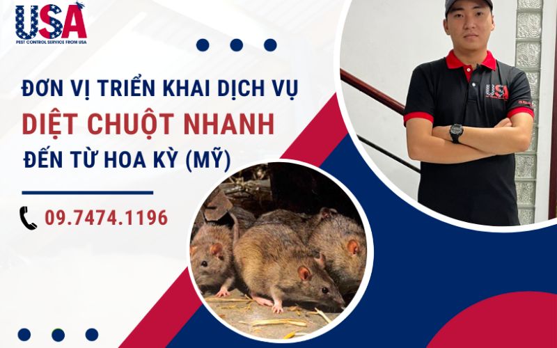 USA Pest Control - Đơn vị diệt chuột chuyên nghiệp nhất Sài Gòn
