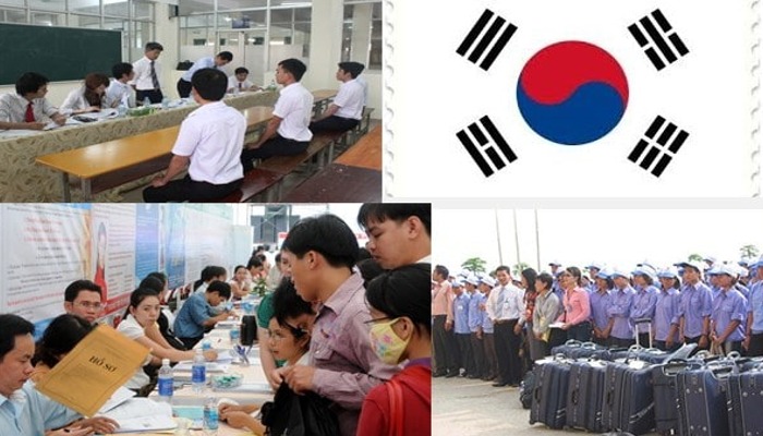 Công ty Hycolasec -  Trung tâm xuất khẩu lao động Hàn Quốc uy tín