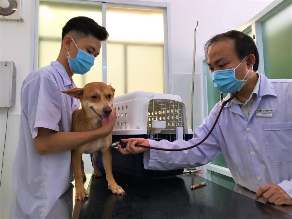 Saigon Pet – Phòng khám thú y uy tín