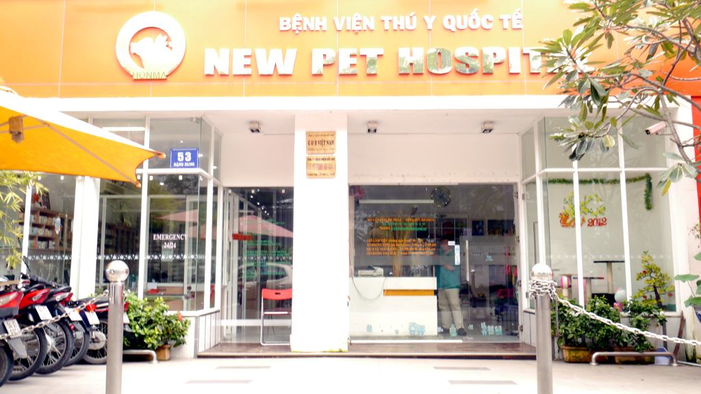 New Pet Hospital – Bệnh viện thú cưng có đội ngũ bác sĩ chuyên môn cao