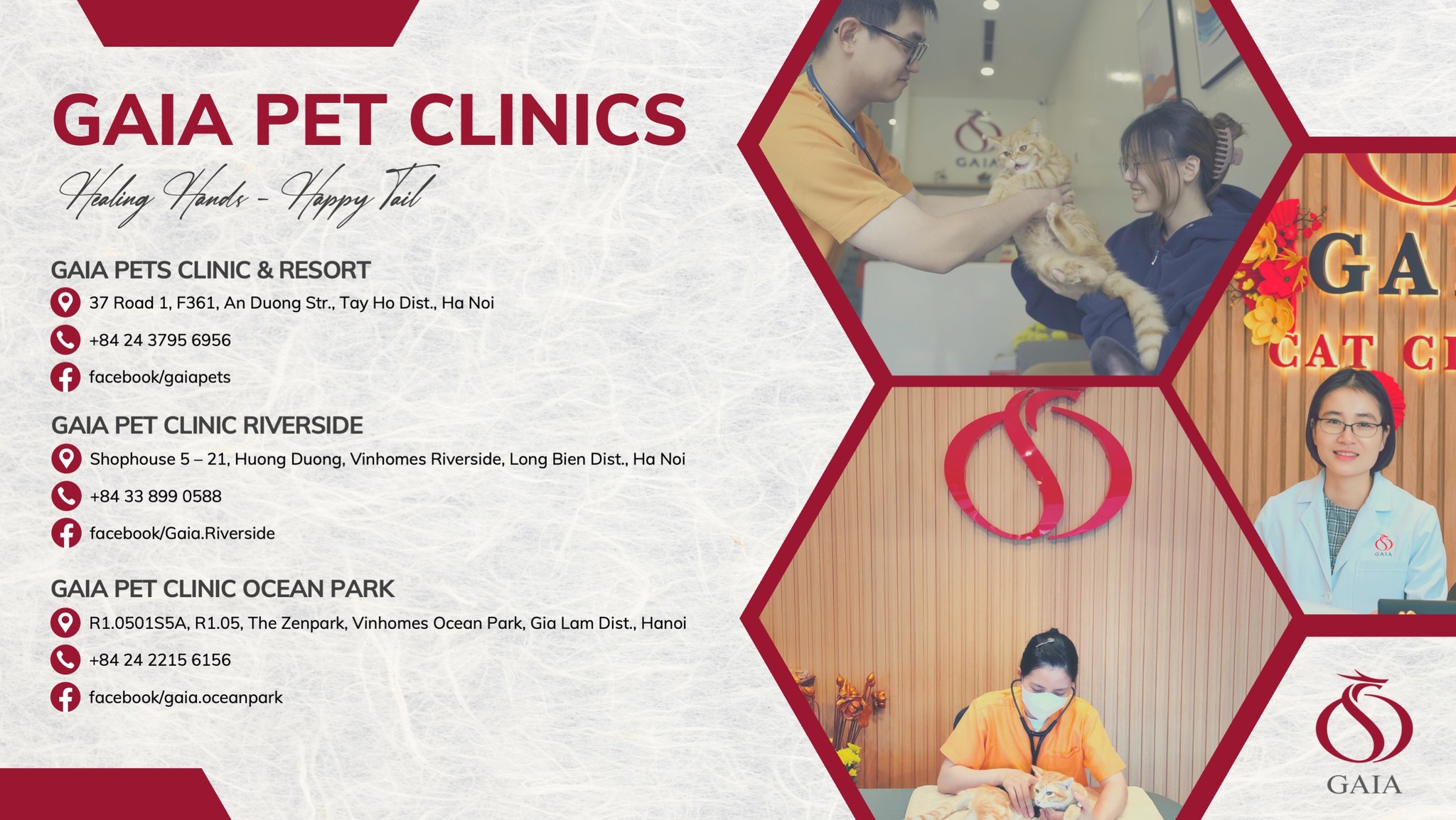 Top 10 phòng khám thú y uy tín hàng đầu tại Hà Nội