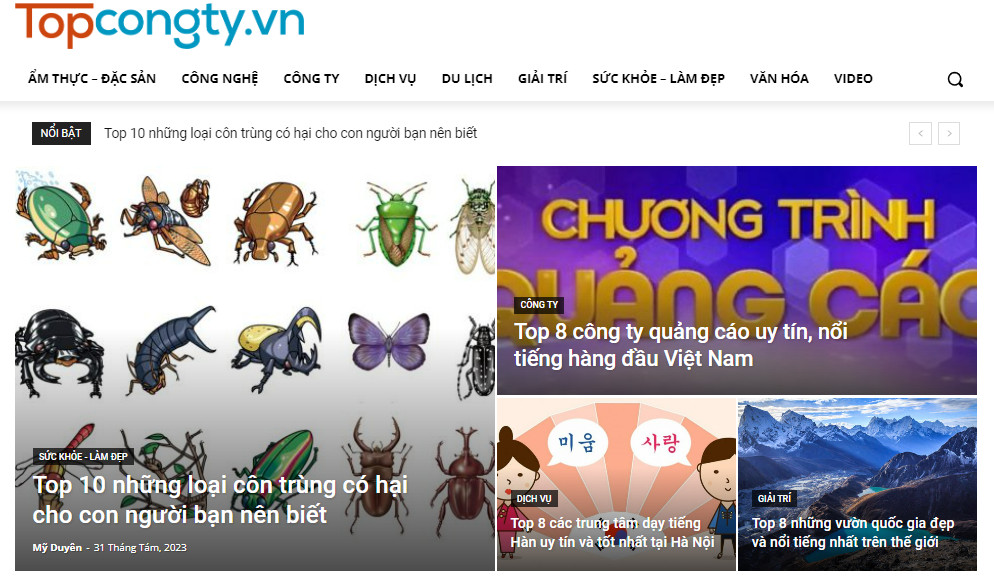 Topcongty.vn - Trang website review công ty hàng đầu Việt Nam